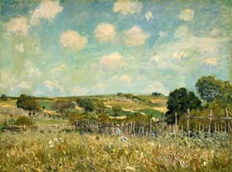 Wiese